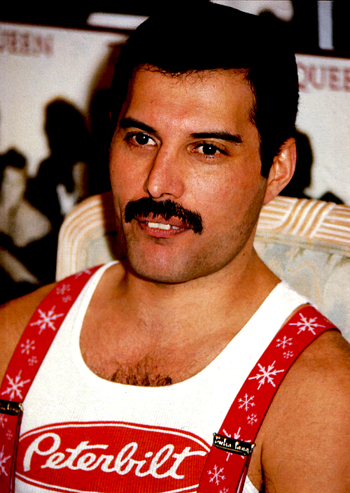 Freddie-freddie-mercury-32395672-500-705.jpg