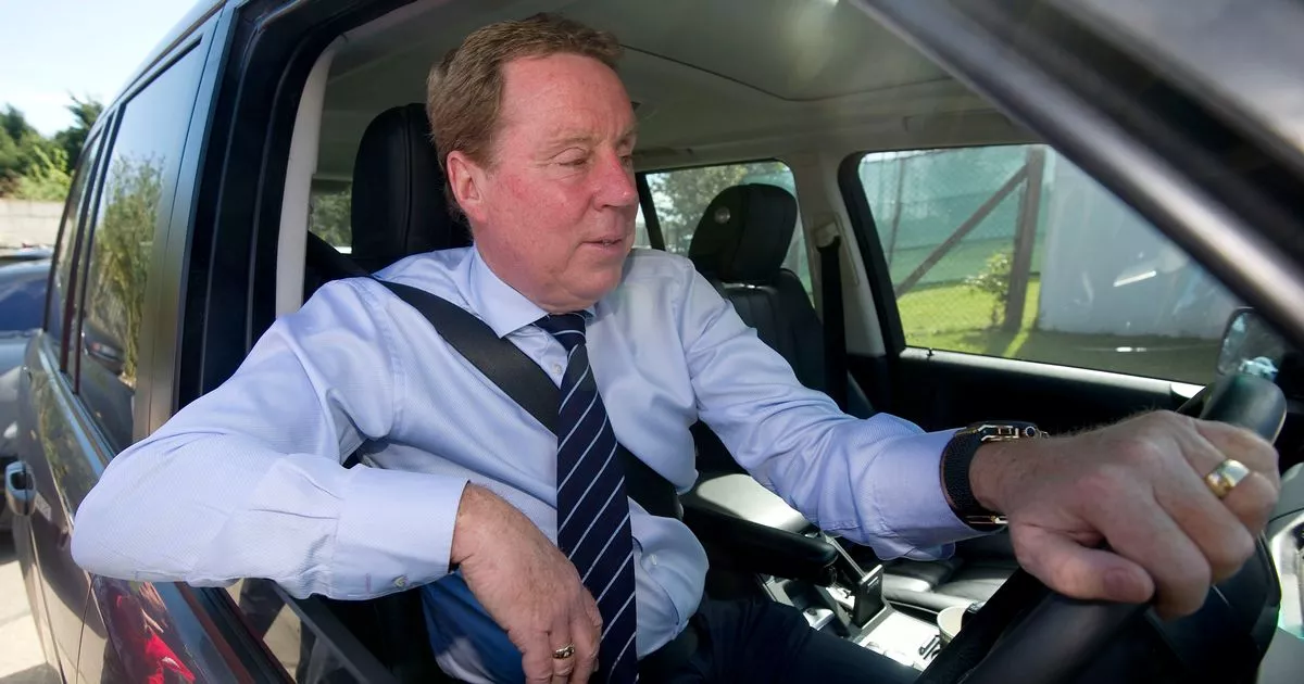 Harry-Redknapp-loves-a-Transfer-Deadline-Day-deal.jpg