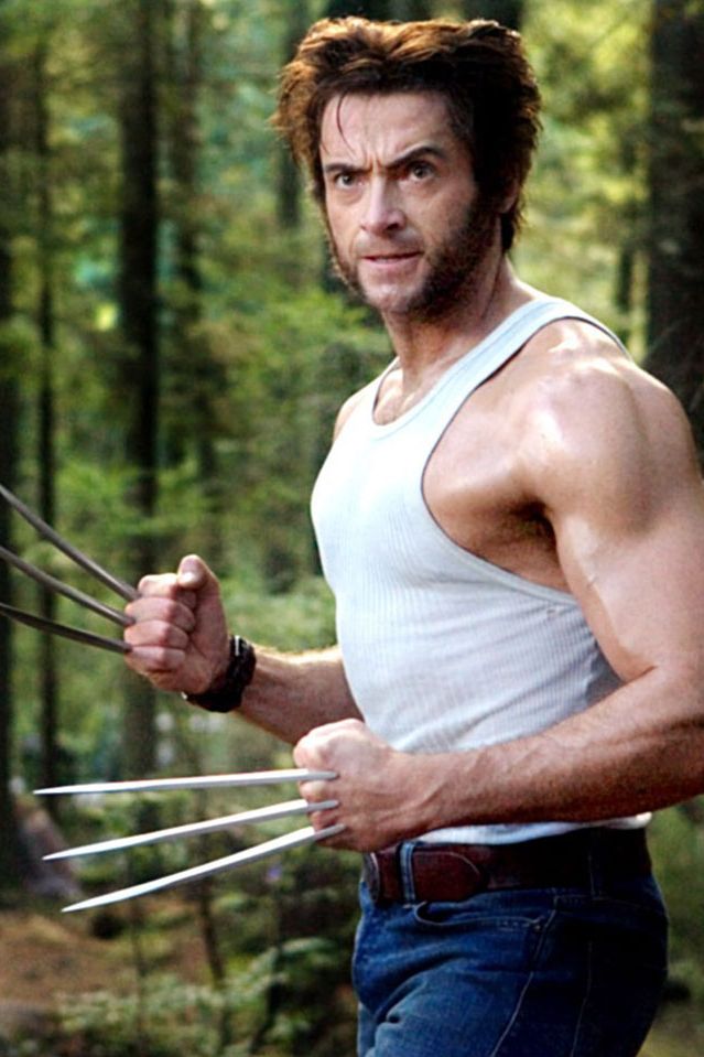 wolverine-and-wolverine.jpg