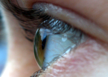 220px-Mairead_cropped.png