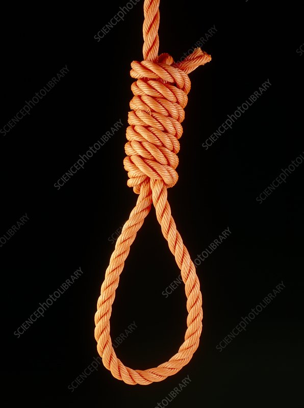 H1000352-Knots_a_hangman_s_noose-SPL.jpg