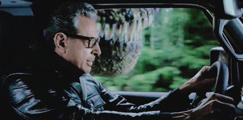 tumblr_p3r8uqqu0b1tjvu1to2_500.gif