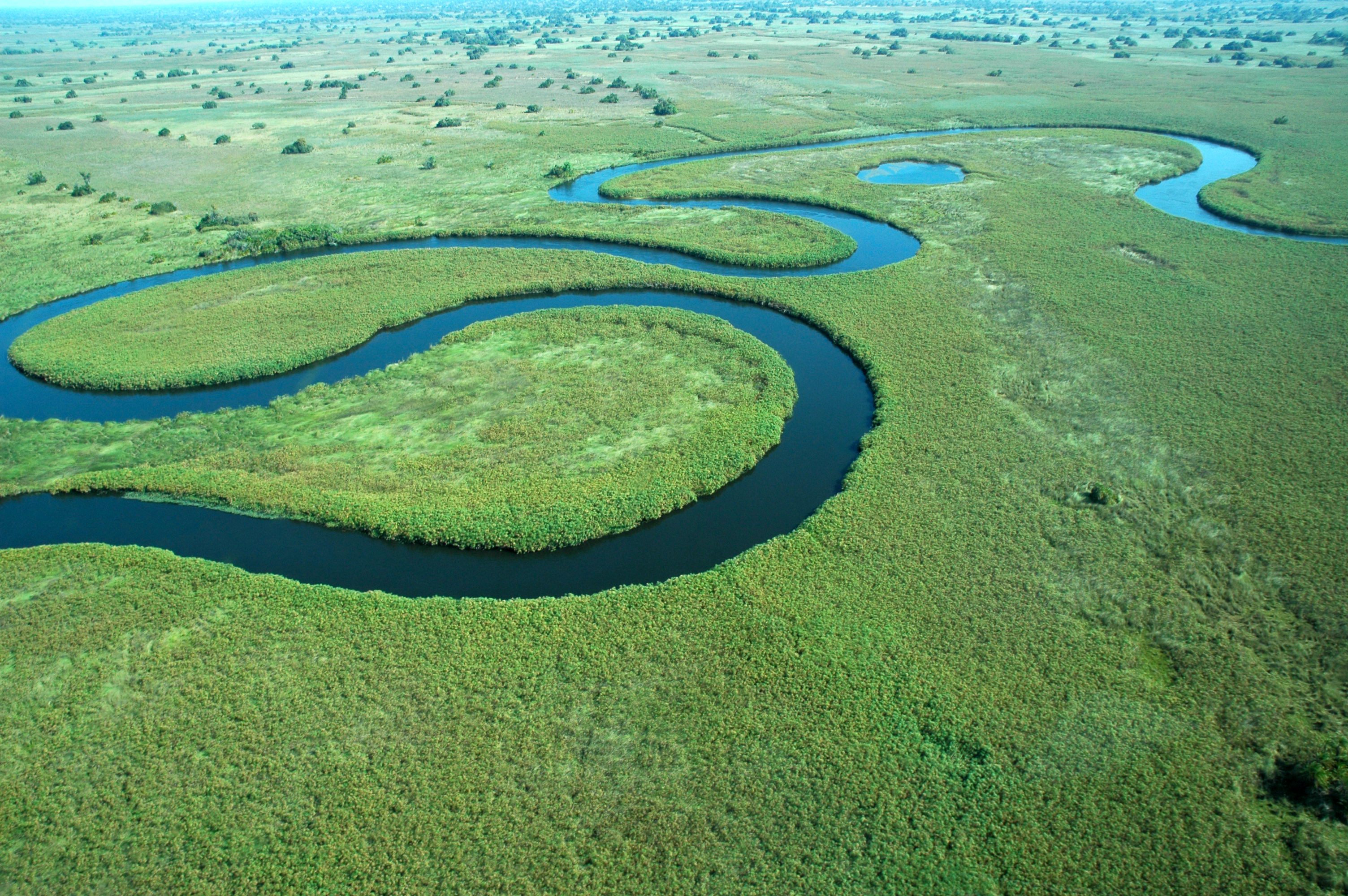 okavango-delta.jpg