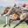 www.oxford-racing.co.uk