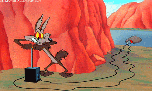 coyote.gif