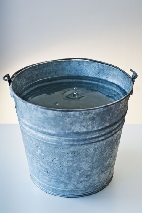 a25610d5ed1b8383e33b7d6dddeaefd4--water-with-lemon-bucket-of-water.jpg
